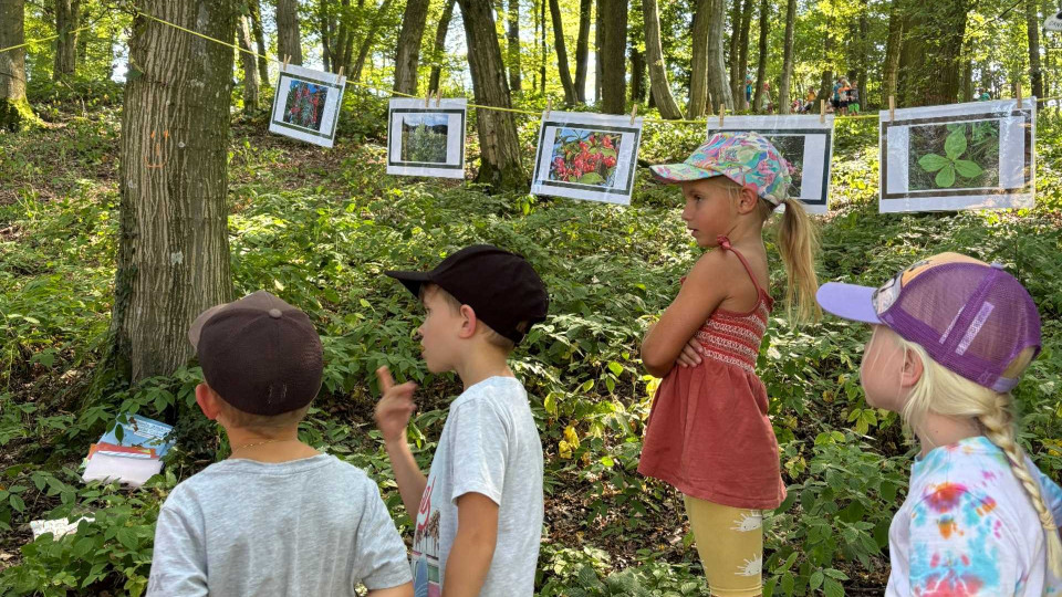 Kinder im Wald